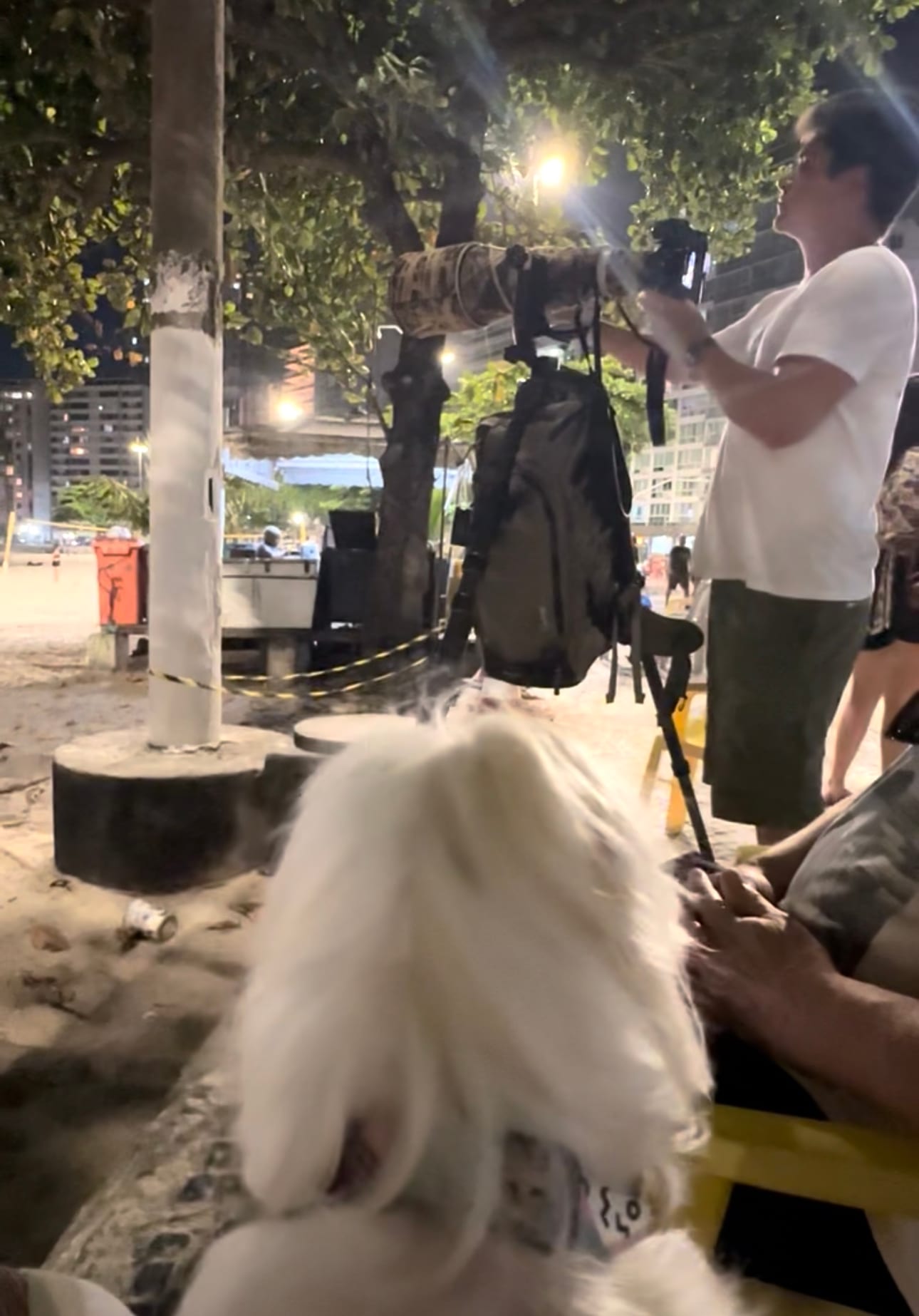Bastidores do setup: a câmera no tripé e a assistente de campo mais peluda do Rio no primeiro plano.